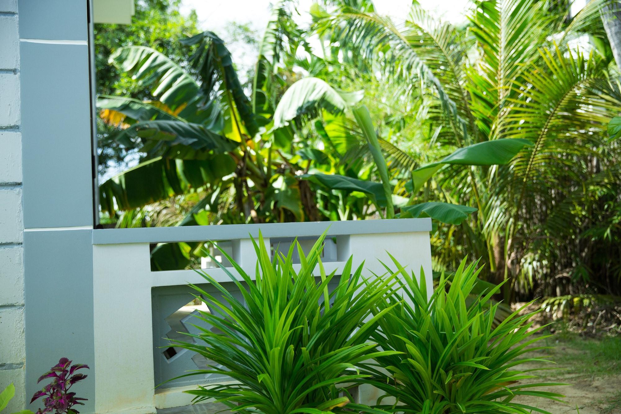 Mr Tho Garden Villas ฮอยอัน ภายนอก รูปภาพ