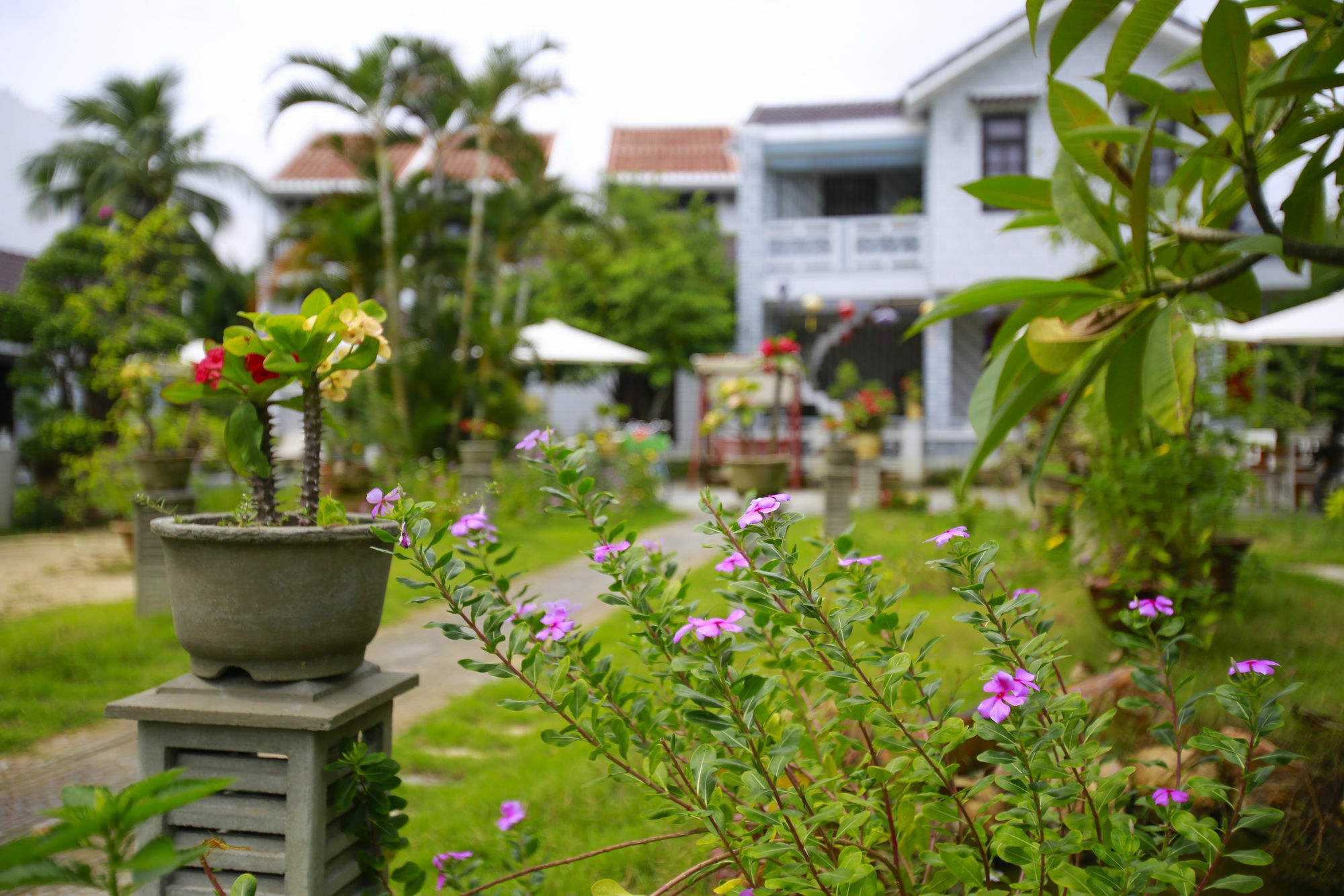 Mr Tho Garden Villas ฮอยอัน ภายนอก รูปภาพ